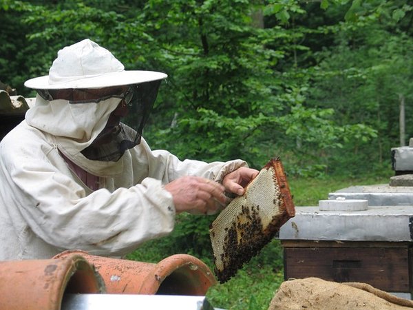 Matériel apiculture indispensable pour débuter ou s'équiper